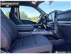 2026 Ford F-150 XLT (Stk: 6F127364) in Brantford - Image 19 of 22