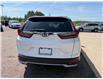 2021 Honda CR-V Sport (Stk: 24861) in Pembroke - Image 14 of 31