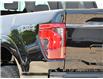 2026 Ford F-150 XLT (Stk: F62261) in GEORGETOWN - Image 8 of 26