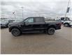 2024 Ford F-150 Tremor (Stk: 19517A) in Calgary - Image 4 of 25