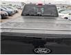 2024 Ford F-150 Tremor (Stk: 19517A) in Calgary - Image 7 of 25