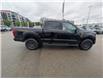 2024 Ford F-150 Tremor (Stk: 19517A) in Calgary - Image 9 of 25