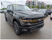 2024 Ford F-150 Tremor (Stk: 19517A) in Calgary - Image 10 of 25
