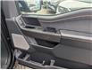 2024 Ford F-150 Tremor (Stk: 19517A) in Calgary - Image 12 of 25