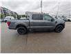 2024 Ford F-150 XLT (Stk: 19525) in Calgary - Image 8 of 24