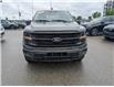 2024 Ford F-150 XLT (Stk: 19525) in Calgary - Image 10 of 24