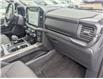 2024 Ford F-150 XLT (Stk: 19525) in Calgary - Image 12 of 24