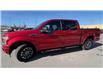 2020 Ford F-150 XLT (Stk: 26231) in Sudbury - Image 20 of 24
