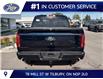 2026 Ford F-150 Lariat (Stk: LFFF01918) in Tilbury - Image 4 of 15