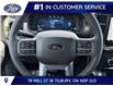 2026 Ford F-150 Lariat (Stk: LFFF01918) in Tilbury - Image 12 of 15