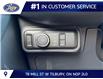 2026 Ford Explorer Tremor (Stk: LFEX01583) in Tilbury - Image 9 of 15
