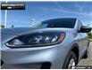 2022 Ford Escape SE (Stk: P11788) in Brantford - Image 7 of 23