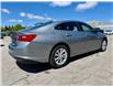2024 Chevrolet Malibu 1LT (Stk: 207655U) in PORT PERRY - Image 5 of 33