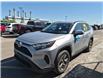 2024 Toyota RAV4 Hybrid XLE (Stk: 44142J) in Belleville - Image 1 of 8