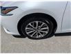 2025 Lexus ES 250 Base (Stk: F1394A) in Miramichi - Image 6 of 9