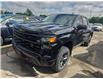 2024 Chevrolet Silverado 1500 Custom Trail Boss (Stk: 44159J) in Belleville - Image 1 of 8