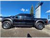 2017 Ford F-150 Raptor (Stk: TA-988A) in Calgary - Image 3 of 15 2017 Ford F-150 Raptor (Stk: TA-988A) in Calgary - Image 3 of 15