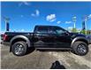 2017 Ford F-150 Raptor (Stk: TA-988A) in Calgary - Image 4 of 15 2017 Ford F-150 Raptor (Stk: TA-988A) in Calgary - Image 4 of 15