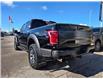 2017 Ford F-150 Raptor (Stk: TA-988A) in Calgary - Image 6 of 15 2017 Ford F-150 Raptor (Stk: TA-988A) in Calgary - Image 6 of 15