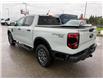 2024 Ford Ranger XLT (Stk: TA-997A) in Calgary - Image 6 of 11