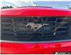 2026 Ford Mustang Dark Horse (Stk: 0M6265) in Kamloops - Image 9 of 25