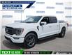 2023 Ford F-150 Lariat (Stk: P0626L) in Dartmouth - Image 1 of 24