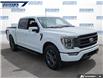 2023 Ford F-150 Lariat (Stk: P0626L) in Dartmouth - Image 6 of 24
