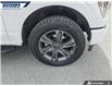 2023 Ford F-150 Lariat (Stk: P0626L) in Dartmouth - Image 7 of 24