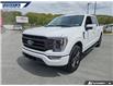 2023 Ford F-150 Lariat (Stk: P0626L) in Dartmouth - Image 8 of 24