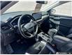 2024 Ford Escape Platinum (Stk: 5UTPR509) in Sarnia - Image 13 of 25