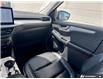 2024 Ford Escape Platinum (Stk: 5UTPR509) in Sarnia - Image 25 of 25