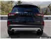2023 Ford Escape Platinum (Stk: 5UTPR511) in Sarnia - Image 5 of 25