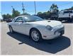 2002 Ford Thunderbird Standard (Stk: U9200A) in Uxbridge - Image 9 of 10