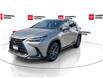 2025 Lexus NX 350 Base (Stk: 12108595A) in Concord - Image 5 of 47