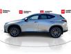 2025 Lexus NX 350 Base (Stk: 12108595A) in Concord - Image 6 of 47