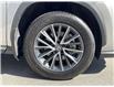 2025 Lexus NX 350 Base (Stk: 12108595A) in Concord - Image 14 of 47