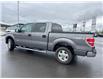 2013 Ford F-150  (Stk: X405270A) in Cranbrook - Image 3 of 20