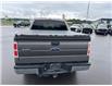 2013 Ford F-150  (Stk: X405270A) in Cranbrook - Image 4 of 20