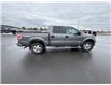 2013 Ford F-150  (Stk: X405270A) in Cranbrook - Image 6 of 20