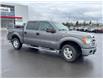 2013 Ford F-150  (Stk: X405270A) in Cranbrook - Image 7 of 20