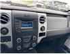 2013 Ford F-150  (Stk: X405270A) in Cranbrook - Image 16 of 20