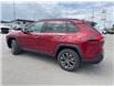 2023 Toyota RAV4 Hybrid Limited (Stk: W033395A) in Cranbrook - Image 3 of 21
