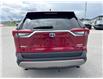 2023 Toyota RAV4 Hybrid Limited (Stk: W033395A) in Cranbrook - Image 4 of 21