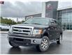 2013 Ford F-150  (Stk: Z313591R) in Cranbrook - Image 1 of 20