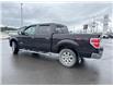 2013 Ford F-150  (Stk: Z313591R) in Cranbrook - Image 3 of 20