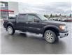 2013 Ford F-150  (Stk: Z313591R) in Cranbrook - Image 7 of 20