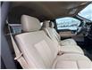 2013 Ford F-150  (Stk: Z313591R) in Cranbrook - Image 11 of 20
