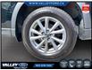 2025 Mazda CX-5  (Stk: 26P041) in Kentville - Image 7 of 21