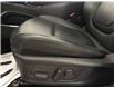 2024 Hyundai Tucson Hybrid Ultimate (Stk: 44090J) in Belleville - Image 13 of 26