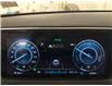 2024 Hyundai Tucson Hybrid Ultimate (Stk: 44090J) in Belleville - Image 17 of 26